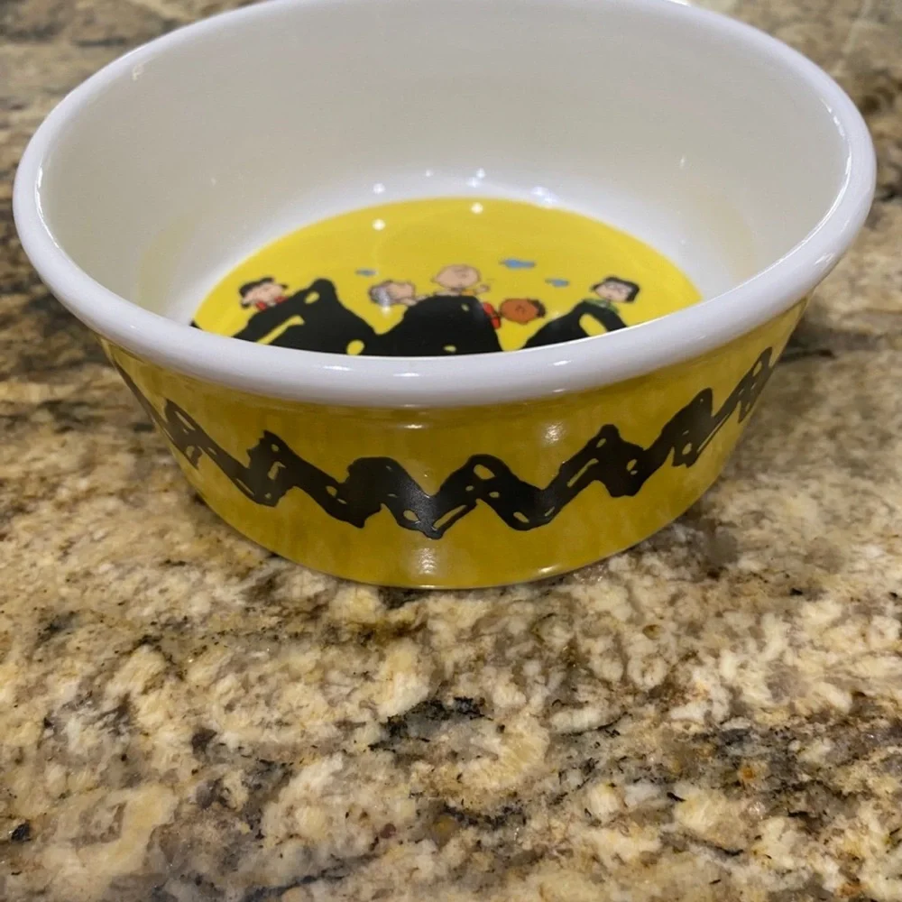 Peanuts Charlie Brown, Snoopy & The Gang Pet Bowl Brand new never used!